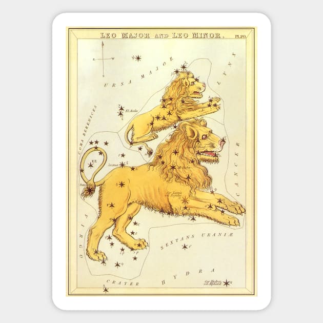 Leo the Lion, from Urania's Mirror, Vintage Signs of the Zodiac Sticker by MasterpieceCafe